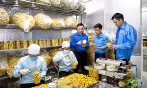 Đồng hành cùng thanh niên lập thân, lập nghiệp