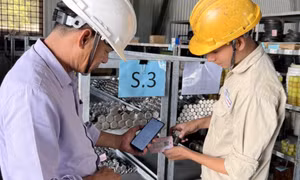 Nhiệt điện Quảng Ninh: Chuyển đổi số để phát triển bền vững