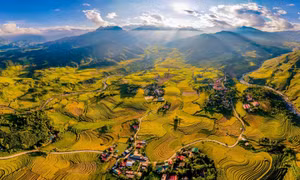 'Cánh đồng bất tận' Sàng Ma Sáo