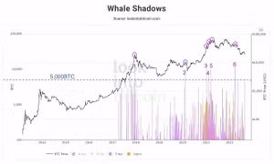 10.000 Bitcoin thức giấc