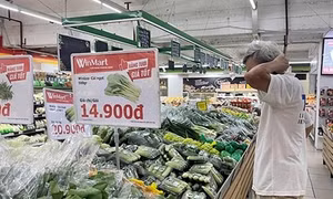 Rau trôi nổi “đột lốt” rau VietGAP: Không thể quản lý chất lượng bằng… niềm tin