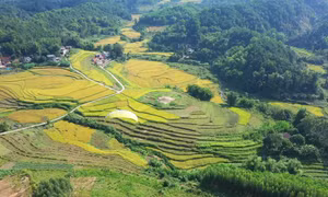 Khám phá Bình Liêu qua tour ngắn ngày