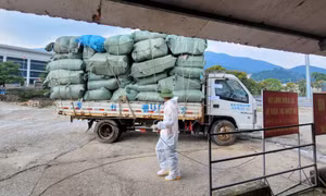 Cửa khẩu Bắc Phong Sinh thông quan trở lại sau hơn 7 tháng tạm dừng hoạt động