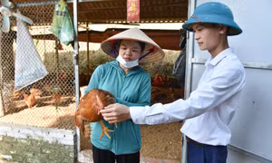 Người có uy tín tiêu biểu xã Quảng An (Đầm Hà)