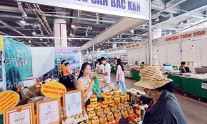 Để tăng hiệu quả kết nối ở các sự kiện xúc tiến thương mại