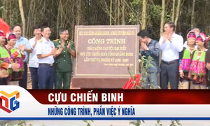 Những công trình, phần việc ý nghĩa