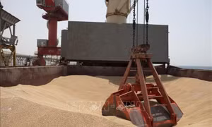 Kêu gọi hành động khẩn cấp để ứng phó khủng hoảng lương thực toàn cầu