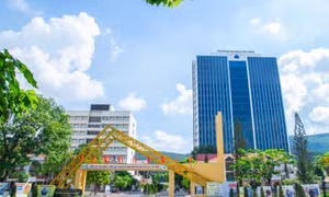 Đại học Hạ Long công bố điểm chuẩn trúng tuyển đại học năm 2022