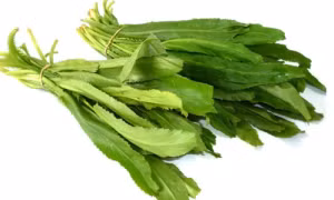 Loại rau quen thuộc trong vườn giúp hạ mỡ máu, hỗ trợ điều trị sỏi thận