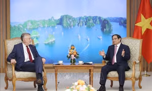 Thủ tướng tiếp Chủ tịch Ủy ban Thương mại quốc tế, Nghị viện châu Âu