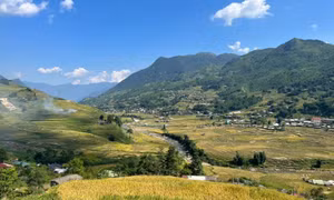 Bản làng Sa Pa mùa lúa chín đẹp say đắm lòng người