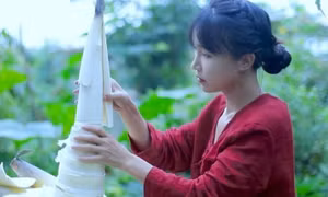Nguy cơ của Lý Tử Thất sau 2 năm biến mất