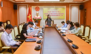 Ban Pháp chế thẩm tra dự thảo Nghị quyết trình Kỳ họp thứ 15 HĐND tỉnh