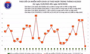 Ngày 10/9: Chỉ có 5 ca COVID-19, cả nước không còn bệnh nhân thở máy