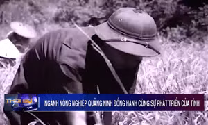Ngành Nông nghiệp Quảng Ninh đồng hành cùng sự phát triển của tỉnh