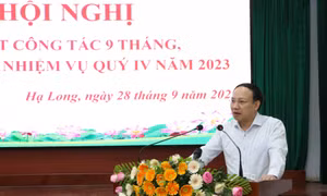Đảng ủy Than Quảng Ninh: Triển khai nhiệm vụ quý IV/2023