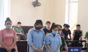 Chứa chấp và môi giới mại dâm, 3 nữ quái 9X cùng lĩnh án tù