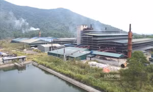 Một công ty ở Thanh Hóa bị xử phạt hơn 3 tỉ đồng vì vi phạm môi trường