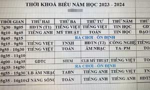 Bộ Giáo dục yêu cầu rà soát việc dạy môn liên kết, tăng cường