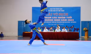 187 VĐV về dự Giải vô địch Vovinam các nhóm tuổi tỉnh năm 2023