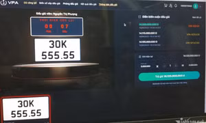 Đấu giá biển ô tô 30K-555.55, mới 6 phút đã có người trả giá 14 tỷ đồng
