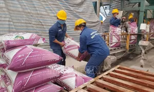 Giải pháp nào ổn định thị trường khi giá phân bón dự kiến vẫn tăng?