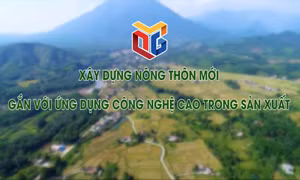 Xây dựng nông thôn mới gắn với ứng dụng công nghệ cao trong sản xuất