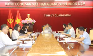 Phó Bí thư Tỉnh ủy Đặng Xuân Phương chủ trì rà soát công tác tuyên truyền kỷ niệm 60 năm Ngày thành lập tỉnh