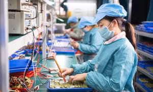 Khởi sắc thị trường lao động