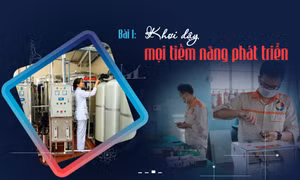 Khơi dậy mọi tiềm năng phát triển
