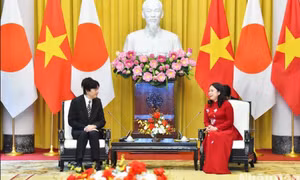 Phó Chủ tịch nước Võ Thị Ánh Xuân hội kiến với Hoàng Thái tử và Công nương Nhật Bản