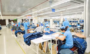 Đáp ứng tiêu chuẩn xuất khẩu mới: Thách thức với doanh nghiệp Việt