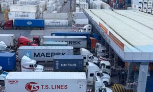 Hàng trăm container chuối, mít, sầu riêng bất ngờ bị 'tuýt còi' xuất Trung Quốc