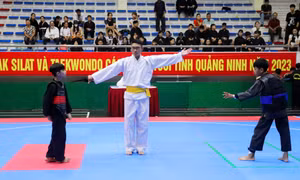 Khai mạc Giải vô địch các lứa tuổi Pencak Silat - Taekwondo tỉnh 2023