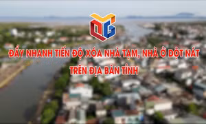 Đẩy nhanh tiến độ xóa nhà tạm, nhà ở dột nát trên địa bàn tỉnh