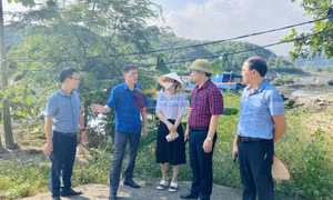 TP Hạ Long: Kiểm tra cấp ủy, người đứng đầu cấp ủy trong công tác quản lý đất đai, tài nguyên, khoáng sản, đầu tư công