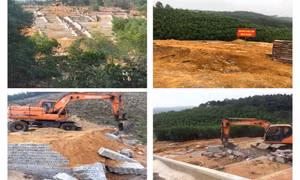 TP Hạ Long: Đảm bảo mục tiêu phát triển bền vững