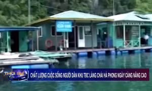 Chất lượng cuộc sống người dân khu TĐC làng chài Hà Phong ngày càng nâng cao