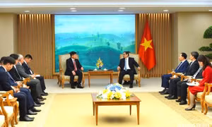 Thúc đẩy quan hệ Việt Nam và Mông Cổ phát triển trên nhiều lĩnh vực thực chất hơn