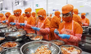 Thúc đẩy công nghiệp chế biến sâu thủy sản