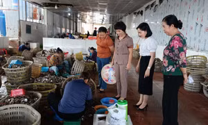 Phát huy vai trò người đứng đầu