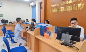 Vân Đồn cải cách, hiện đại hóa hành chính thuế