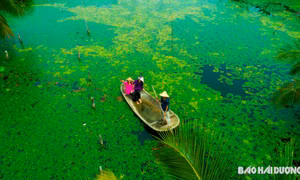 Sắc thu ở khu du lịch sinh thái Đồng Mẩn