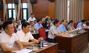 Lần đầu tổ chức Festival Chí Linh - Hải Dương