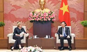 Tăng cường quan hệ hữu nghị, hợp tác giữa cơ quan lập pháp Việt Nam-Pháp