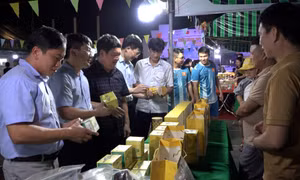 Khai mạc Tuần hàng Việt về huyện Ba Chẽ năm 2023
