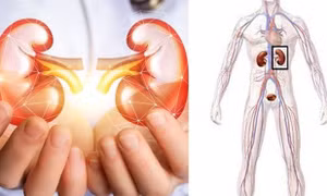 Những lưu ý để giảm nguy cơ mắc bệnh thận