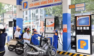 Tập trung thực hiện hiệu quả các giải pháp bảo đảm cung ứng điện, xăng dầu