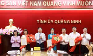 Quảng Ninh bổ nhiệm 3 Phó Giám đốc Sở thông qua thi tuyển