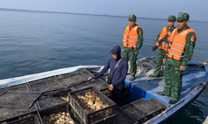 Đồn BP đảo Trần: Đấu tranh hiệu quả với tội phạm trên biển